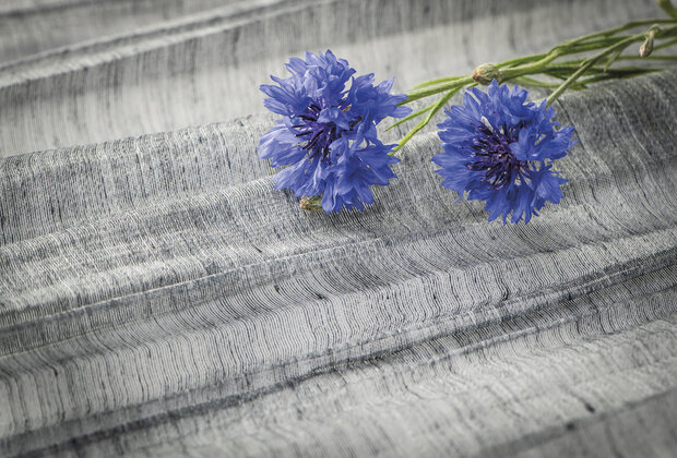 Arte ODE ODE4606 (incl. Gratis Lijm*)