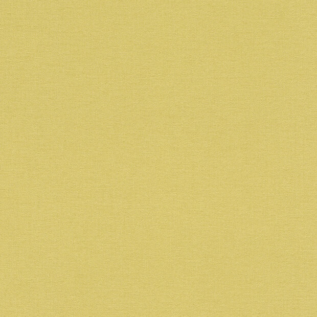 Rasch Kalahari 449839 Groen