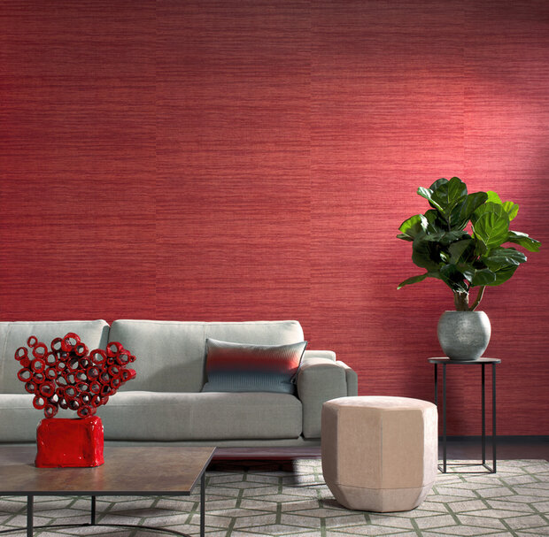 Arte EXPEDITION TASAR 72030 (incl. Gratis Lijm*)