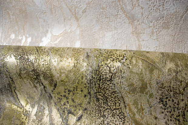 Dutch First Class Carrara 3 84623 (incl. Gratis Lijm*)