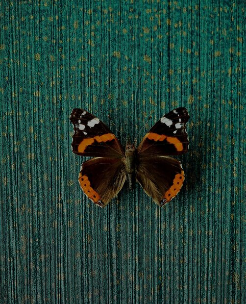 Eijffinger Unify 333266 (incl. Gratis Lijm*)