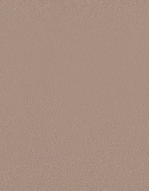 Dutch Wall Decor Erismann Elle Decoration 3 10335-11 Bruin