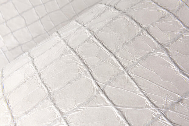 Arte Kharga TENERE 74027 (incl. Gratis Lijm*)