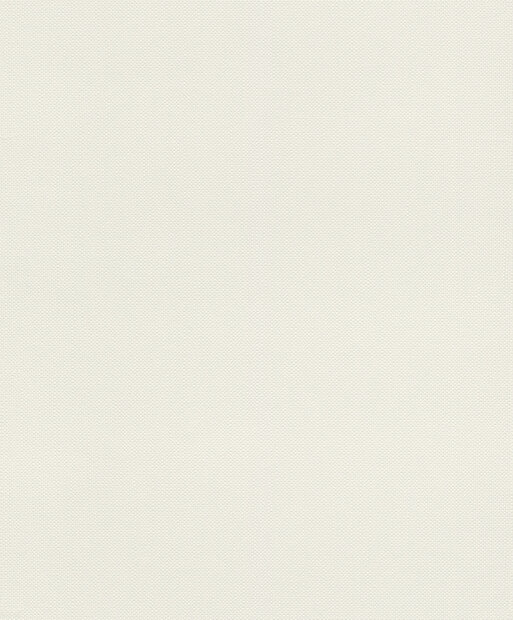 Rasch Deco Style 312324 Wit