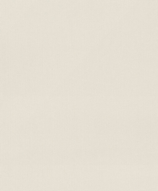 Rasch Deco Style 312331 Beige