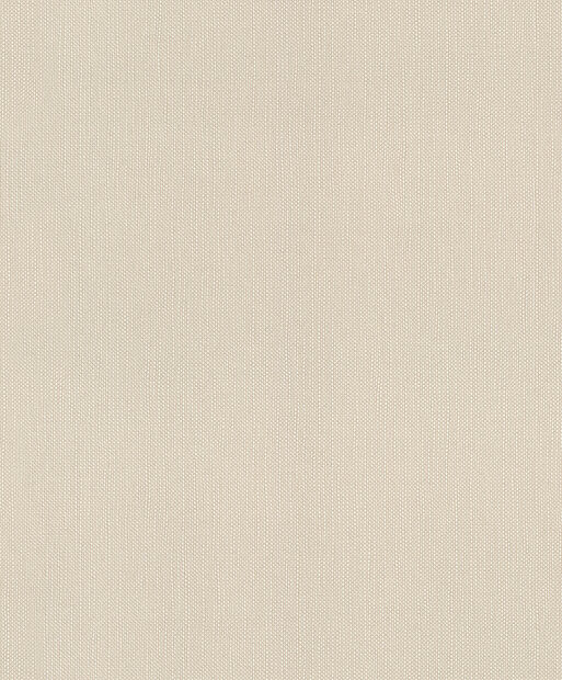 Rasch Deco Style 312348 Beige