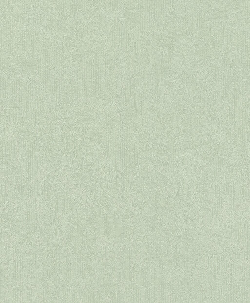Rasch Deco Style 415377 Groen