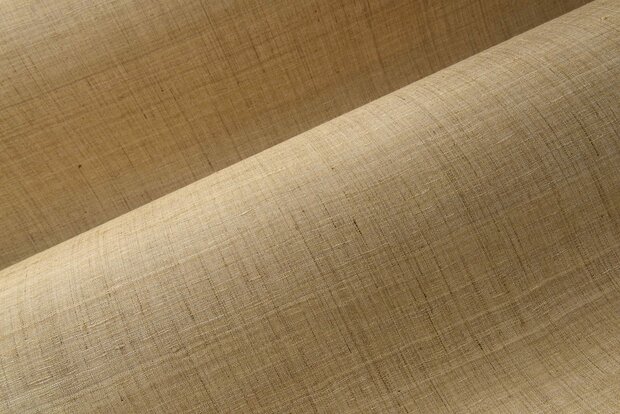 Arte Wild Silk GHICHA SILK 86549 Beige (incl. Gratis Lijm*)