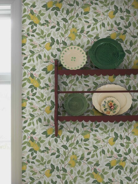 Bor&aring;stapeter Orangeri Citrontr&auml;d 5702