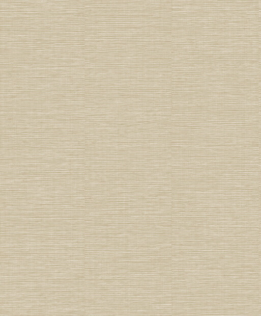 Dutch Wallcoverings Level Two LV1601 - Beige Behang