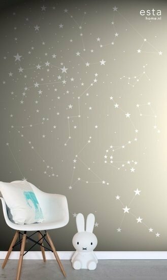 Everybody Bonjour PhotowallXL Sterrenhemel 158705 - Grijs Behang