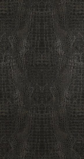 BN Wallcoverings Curious / Inspire 17950 - Zwart Behang