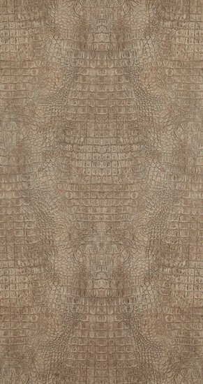 BN Wallcoverings Curious 17951 Behang