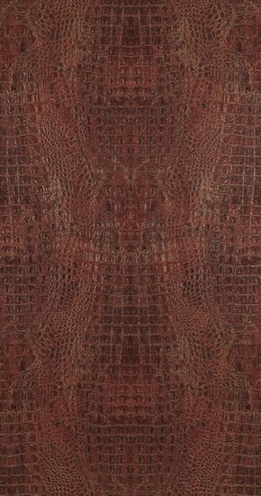 BN Wallcoverings Curious 17957 Behang