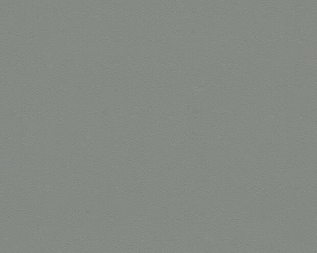 AS Creation Meistervlies 3091-43 - Grijs Behang