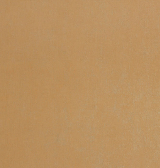 BN Wallcoverings Texture Stories Bruin 218507 - Bruin Behang