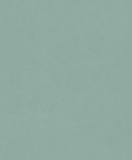 Rasch Passepartout 606348 Behang