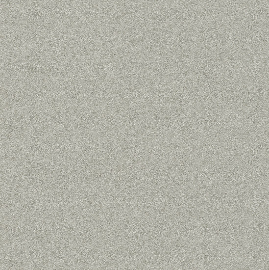 Rasch Passepartout 606652 Behang