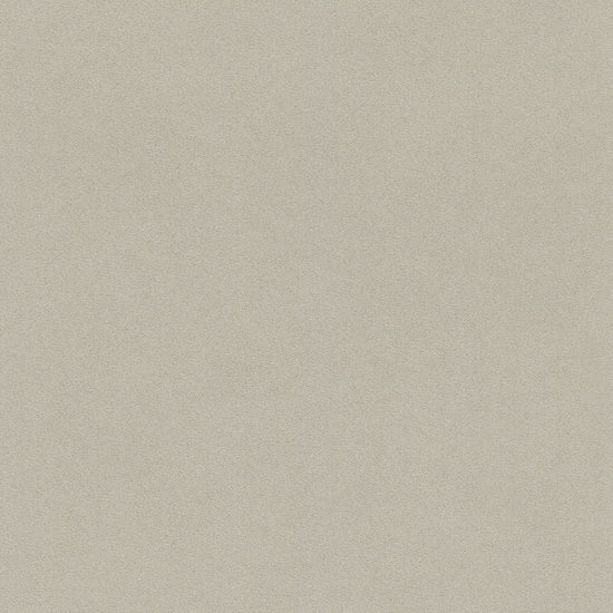 Rasch Passepartout 607284 Behang