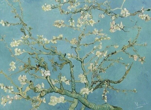 BN Wallcoverings Van Gogh 30548 Amandelbloesem - Multicolour Behang