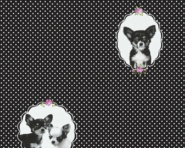 AS Creation Little Stars 35851-2 - Zwart / Paars Behang