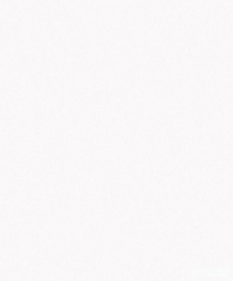 Noordwand Natural FX G67496 Behang