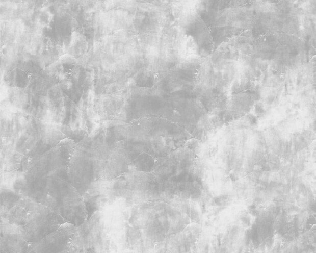 Noordwand Concrete Cir? 330723 Behang