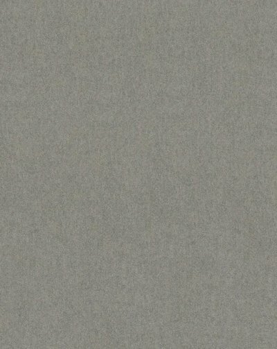 Dutch Wallcoverings Unis &amp; Textures 6 31342 Behang