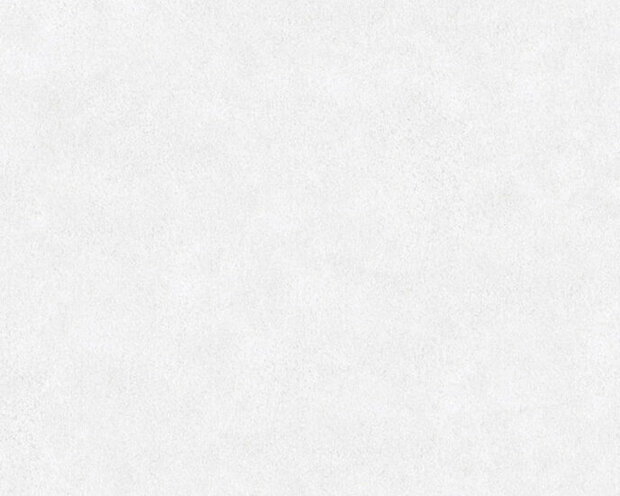 AS Creation Beton Behang 36206-1 / 362061 - Wit Behang