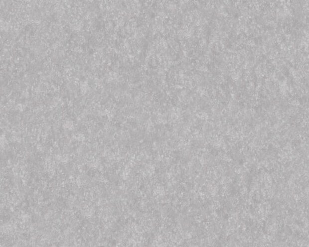 AS Creation Beton Behang 36371-2 / 363712 - Grijs Behang