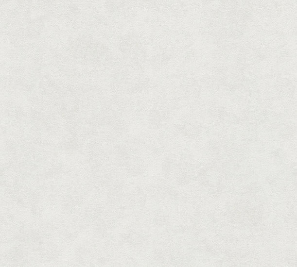 AS Creation Beton Concrete &amp; More 1160-48 / 116048 - Grijs Behang