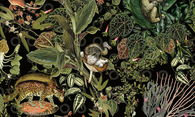 Arte Moooi MO2071 Behang