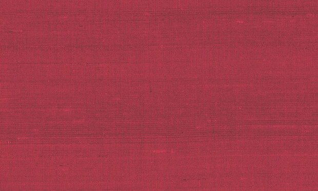 Arte Paleo 50502 Behang