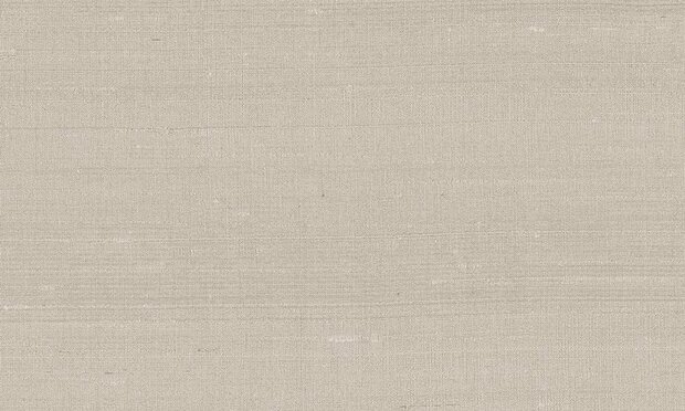 Arte Paleo 50506 Behang