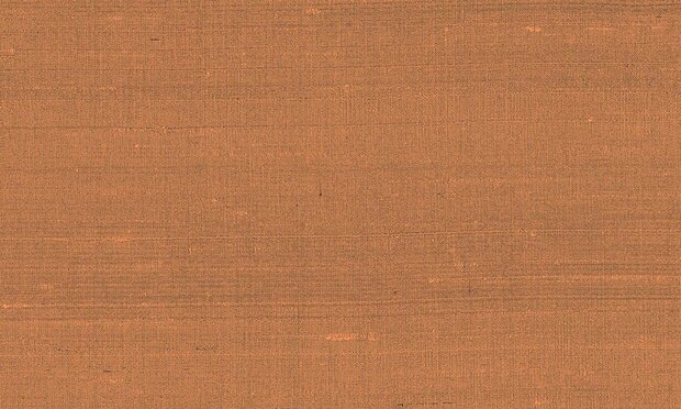 Arte Paleo 50514 Behang