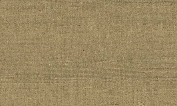 Arte Paleo 50515 Behang