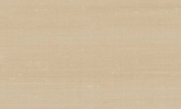 Arte Paleo 50518 Behang