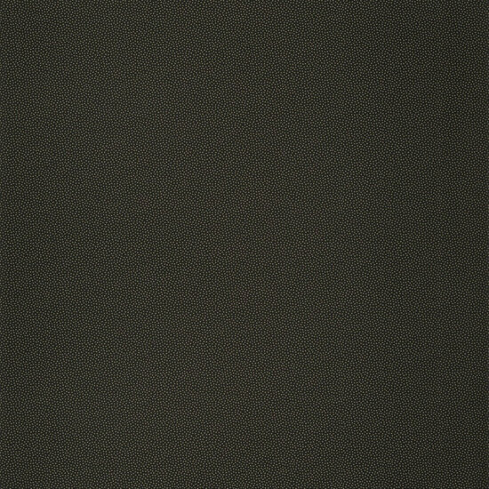 Caselio L&#039;Odyssee OYS100409027 - Zwart Behang