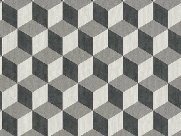 BN Wallcoverings Cubiq 220362 - Zwart - Wit Behang