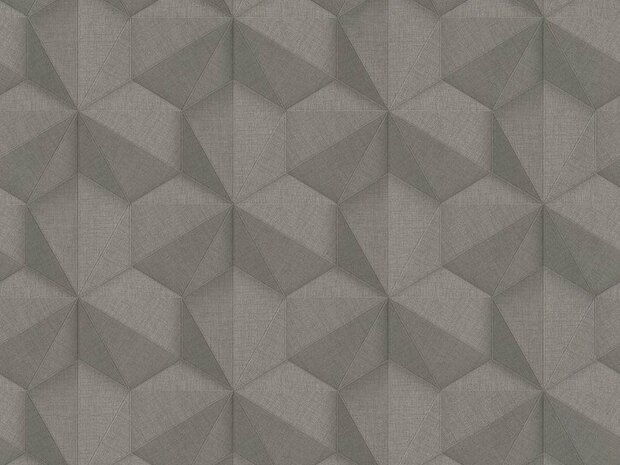 BN Wallcoverings Cubiq 220373 - Grijs Behang