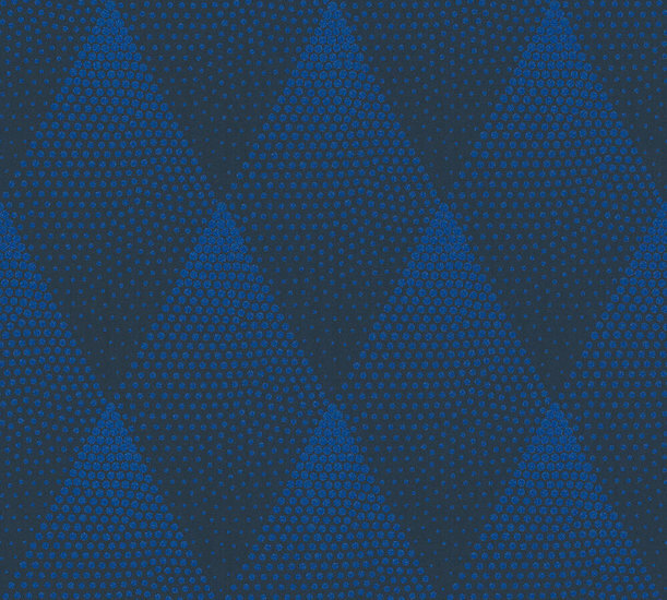 AS Creation New Walls 37419-1 | 374191 - Blauw / Zwart Behang