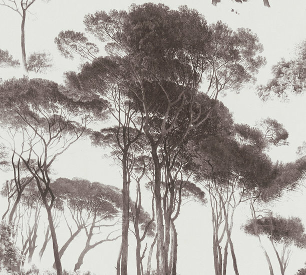 AS Creation History of Art 37651-1 - 376511 - Zwart / Wit Behang