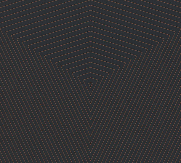 AS Creation Daniel Hechter 6 | 37522-6 / 375226 - Zwart Behang