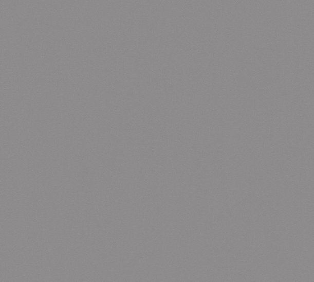 AS Creation New Life / PintWalls 34931-6 / 349316 - Grijs Behang