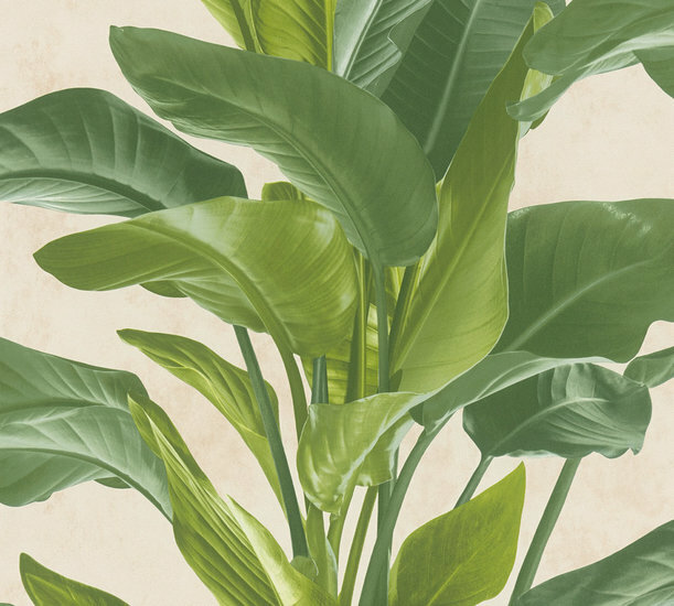 AS Creation Metropolitan Stories II Antonio / Barcelona 37862-3 - 378623 - Groen / Creme Behang