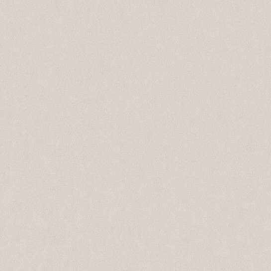 BN Wallcoverings Grand Safari 220501 - Beige Behang