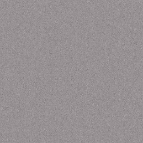 BN Wallcoverings Grand Safari 220503 - Grijs Behang