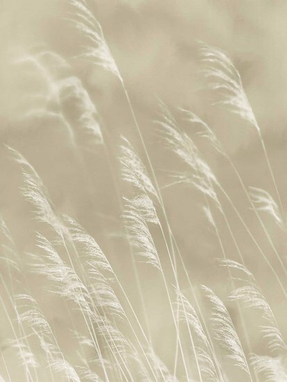 Eijffinger Waterfront 300900 Behang