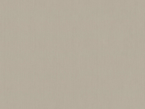 BN Wallcoverings Texture Stories beige soft taupe 46783 Behang
