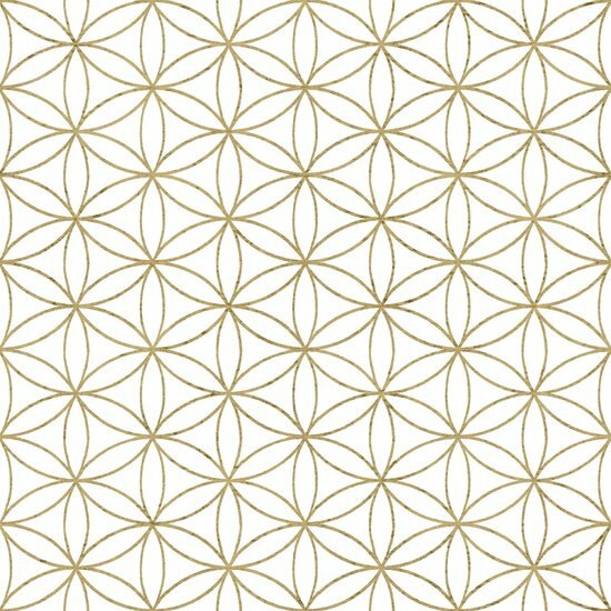 Noordwand Amazzonia 22052 Behang